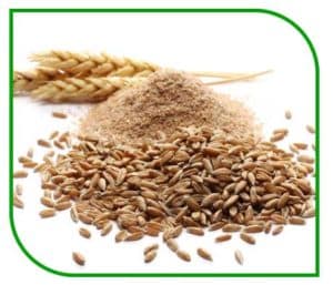 Wheat